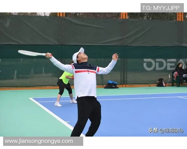 南京网球队的团队协作之道：网球巨献背后的默契与拼搏精神