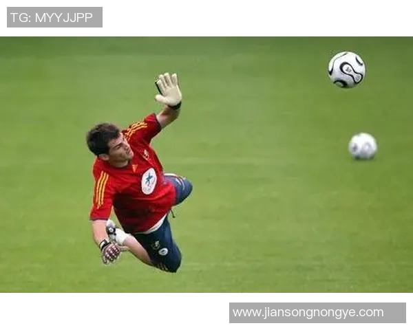 曾经辉煌的足球明星们为何走向破产的深渊揭秘他们的财务危机与人生选择